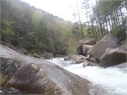 Wilsons Creek 125
